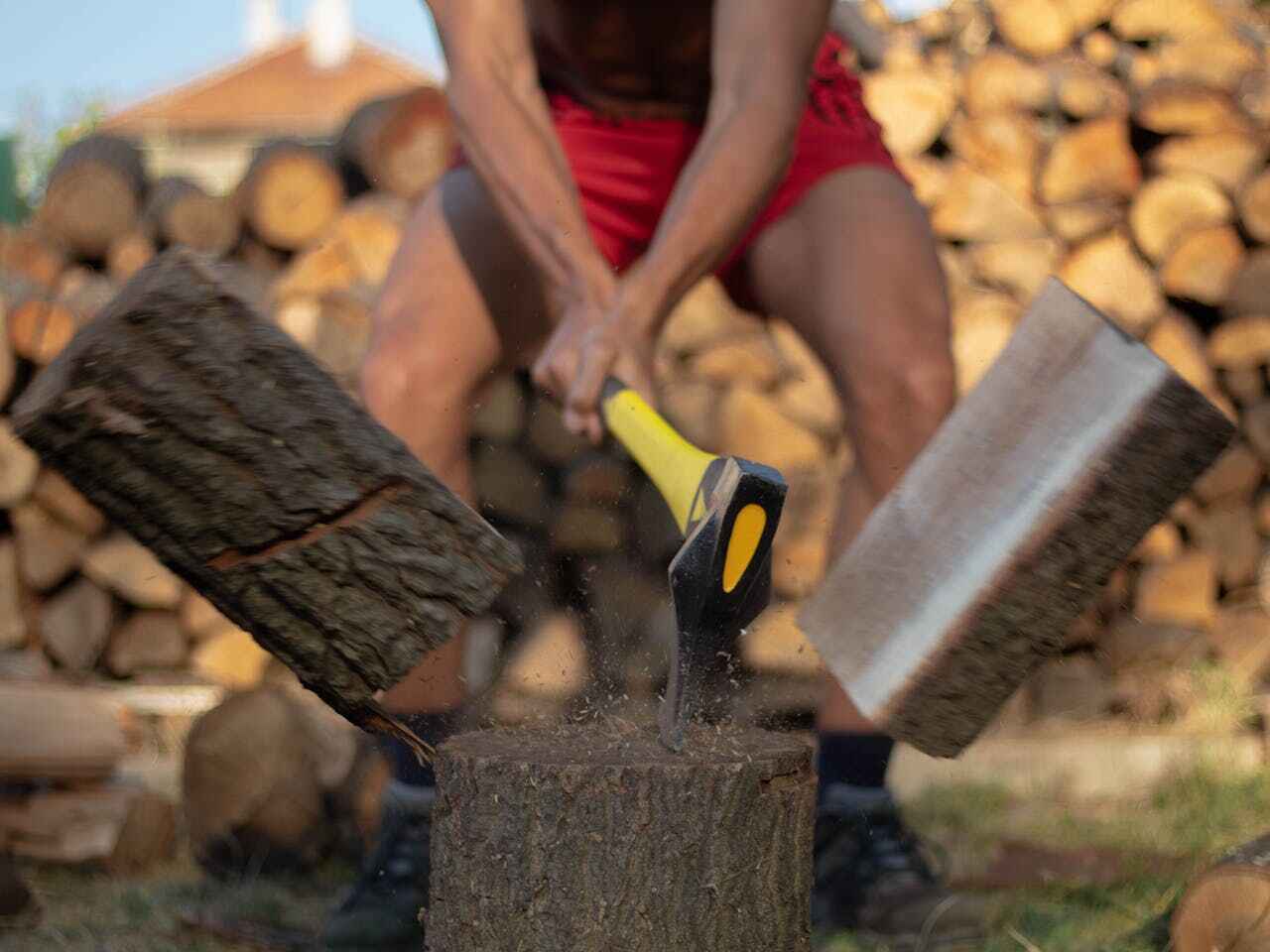 Residential Tree Removal in Garrison, MD